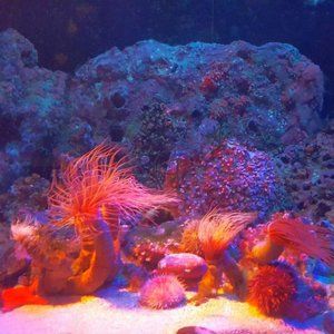 CORRALS 3 ~ 8" X 10" Photography